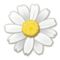 Blossom emoji on Samsung